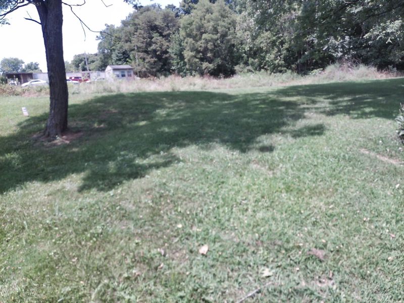375 Moon Road, Williamstown, KY 41097 Photo 18