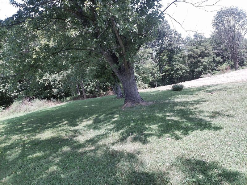 375 Moon Road, Williamstown, KY 41097 Photo 19