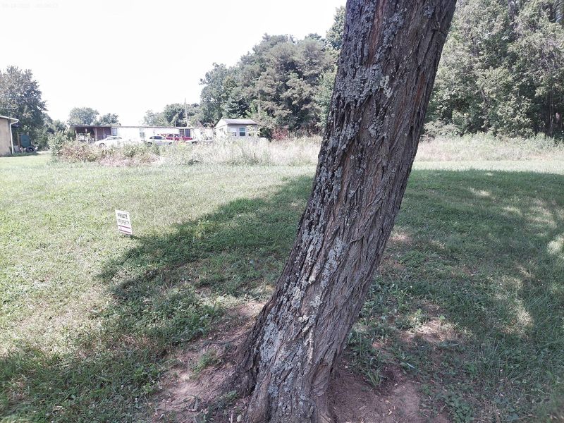 375 Moon Road, Williamstown, KY 41097 Photo 23