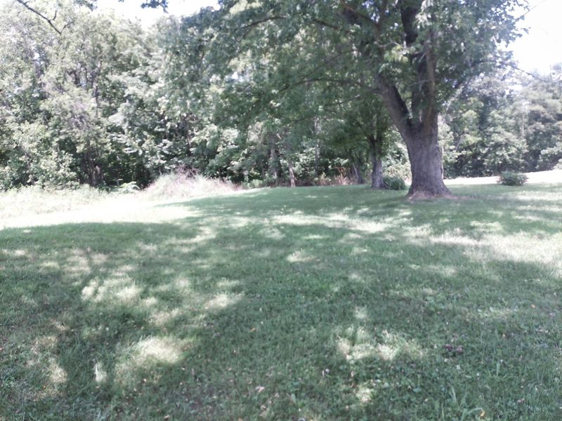 375 Moon Road, Williamstown, KY 41097 Photo 24