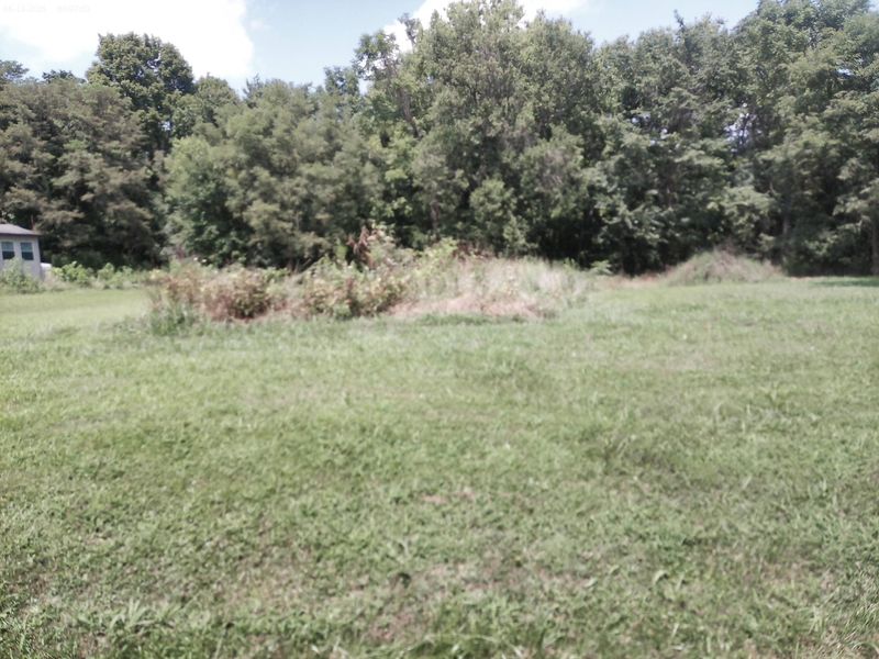 375 Moon Road, Williamstown, KY 41097 Photo 29