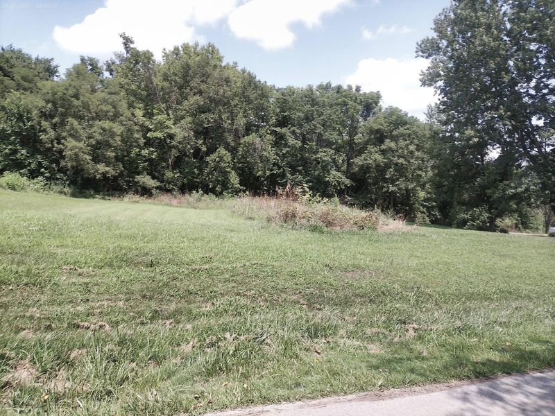 375 Moon Road, Williamstown, KY 41097 Photo 33