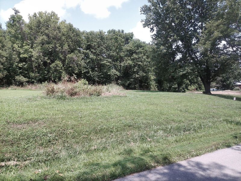 375 Moon Road, Williamstown, KY 41097 Photo 34