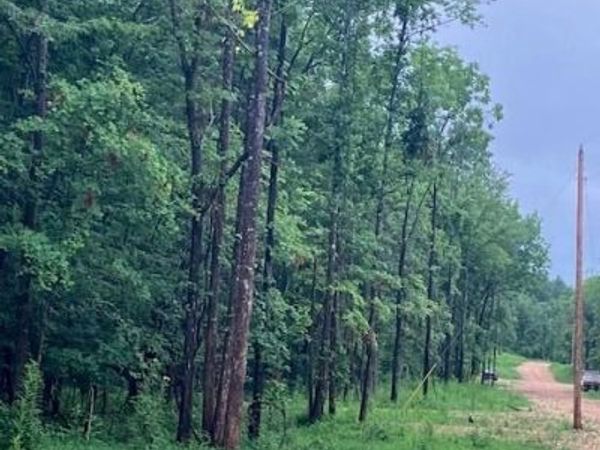 73 Madison CR 410 , Fredericktown, MO 63645