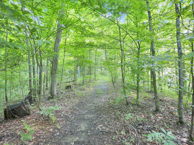 13864 Keirns Road , Millfield, OH 45761 Photo 61