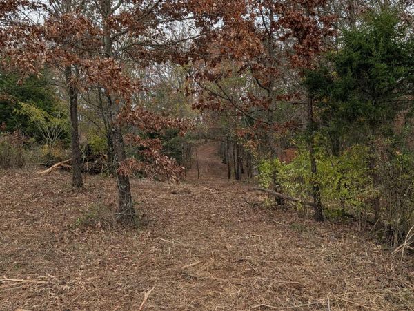 Lots 3 & 4 Midway Road, Strawberry Plains, TN 37871