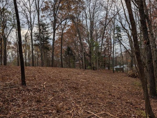 Lot 4 Midway Road lot 4 , Strawberry Plains, TN 37871