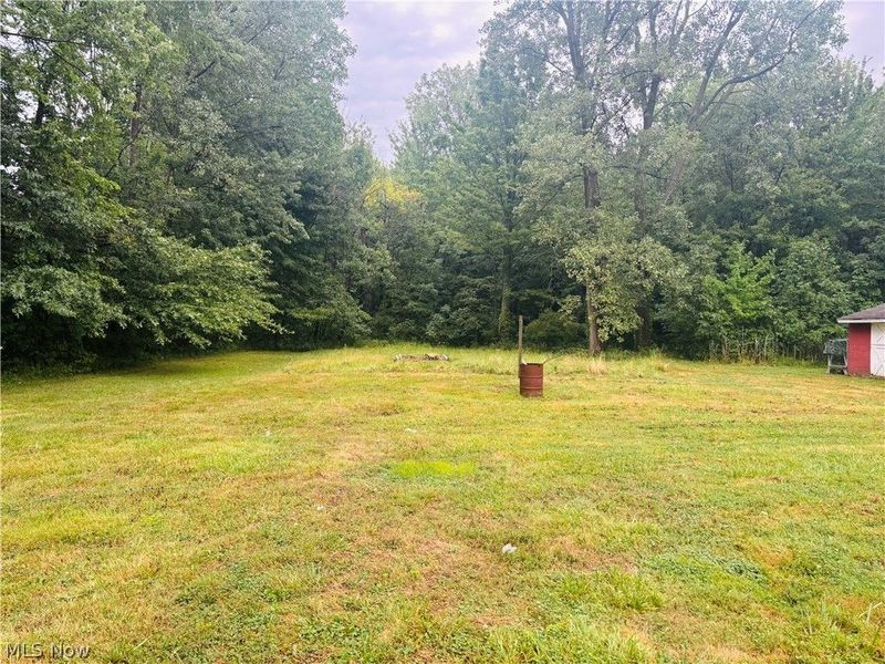 57 Park Road, Painesville, OH 44077 Photo 5