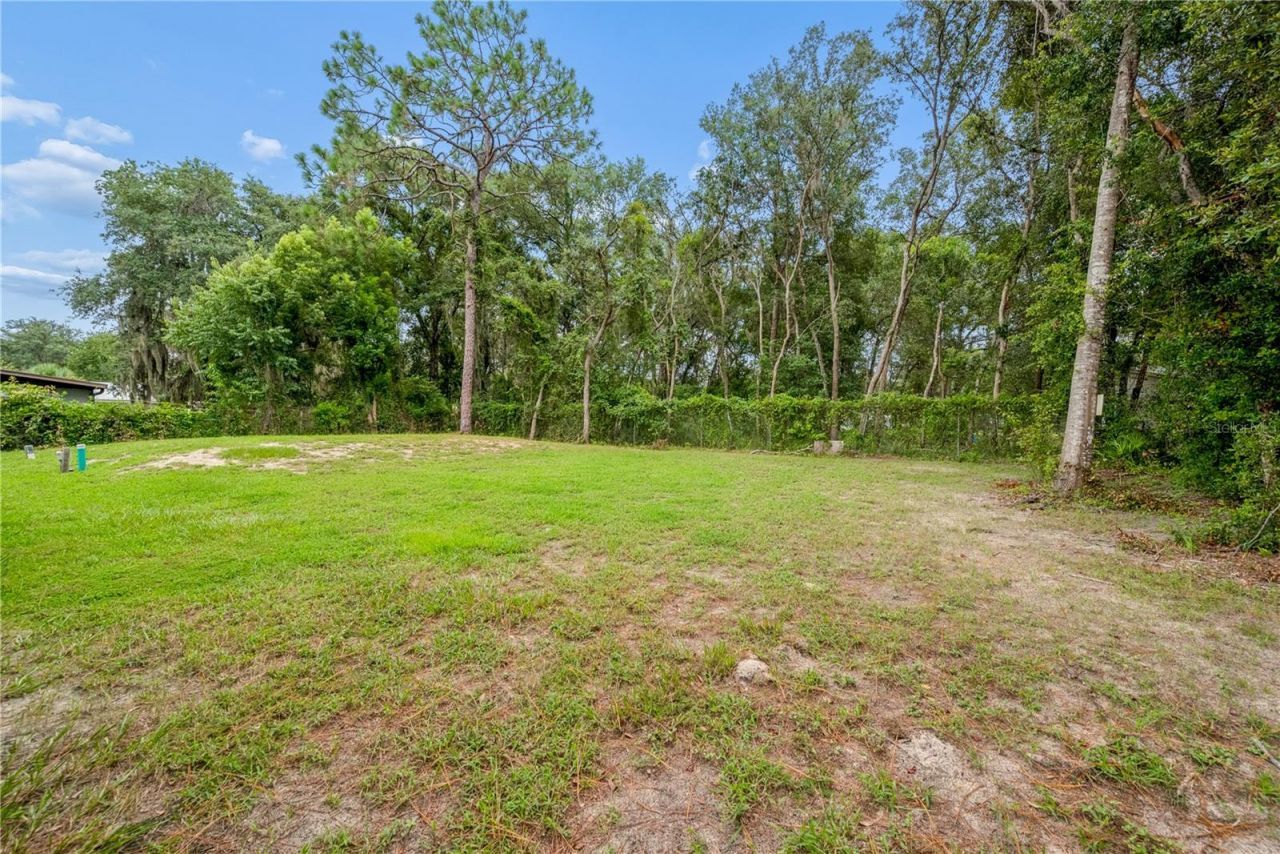 111 Breezeway Avenue, Satsuma, FL 32189 Photo