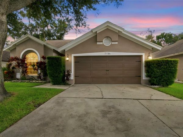 7736 MARBELLA CREEK AVENUE, TAMPA, FL 33615