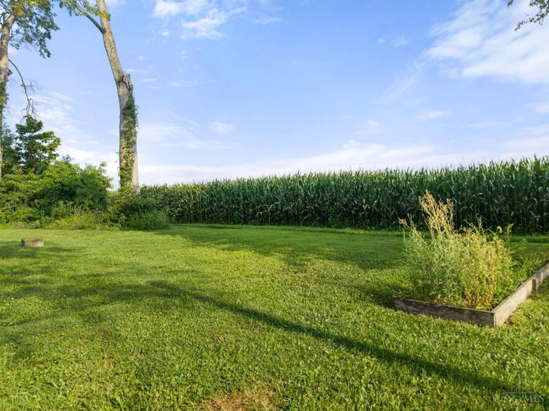 5009 St Rt 138, Hamer Township, OH 45133 Photo 11
