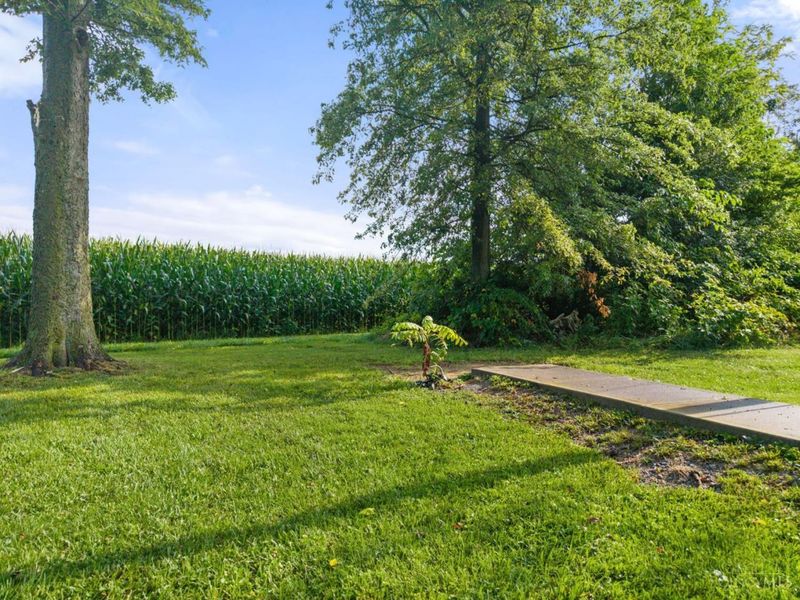 5009 St Rt 138, Hamer Township, OH 45133 Photo 12