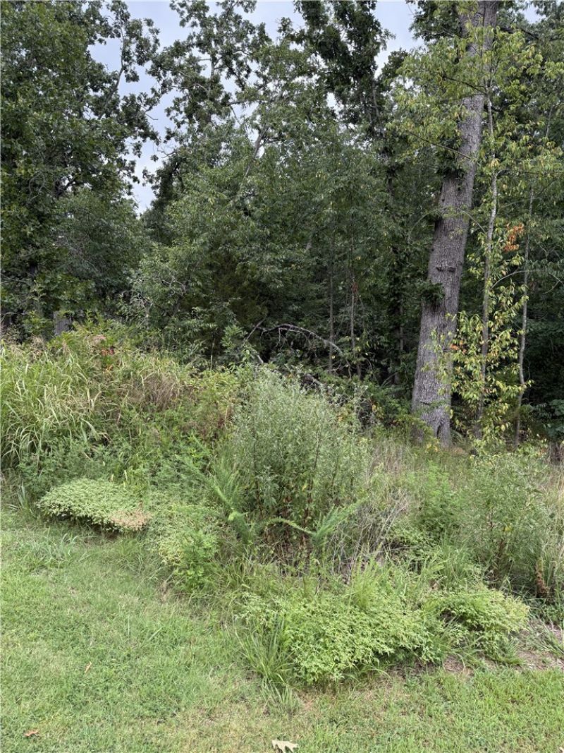 Lot 12 Eriboll Lane , Bella Vista, AR 72715 Main Photo