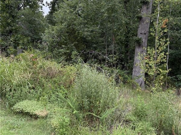 Lot 12 Eriboll Lane , Bella Vista, AR 72715