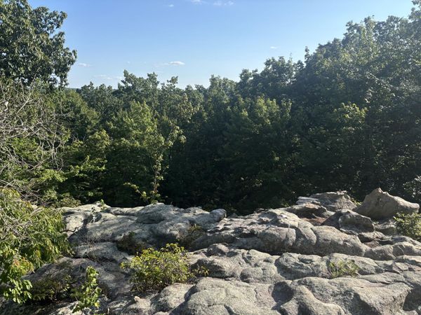 0 Holloway Ridge Road, Spring City, TN 37381