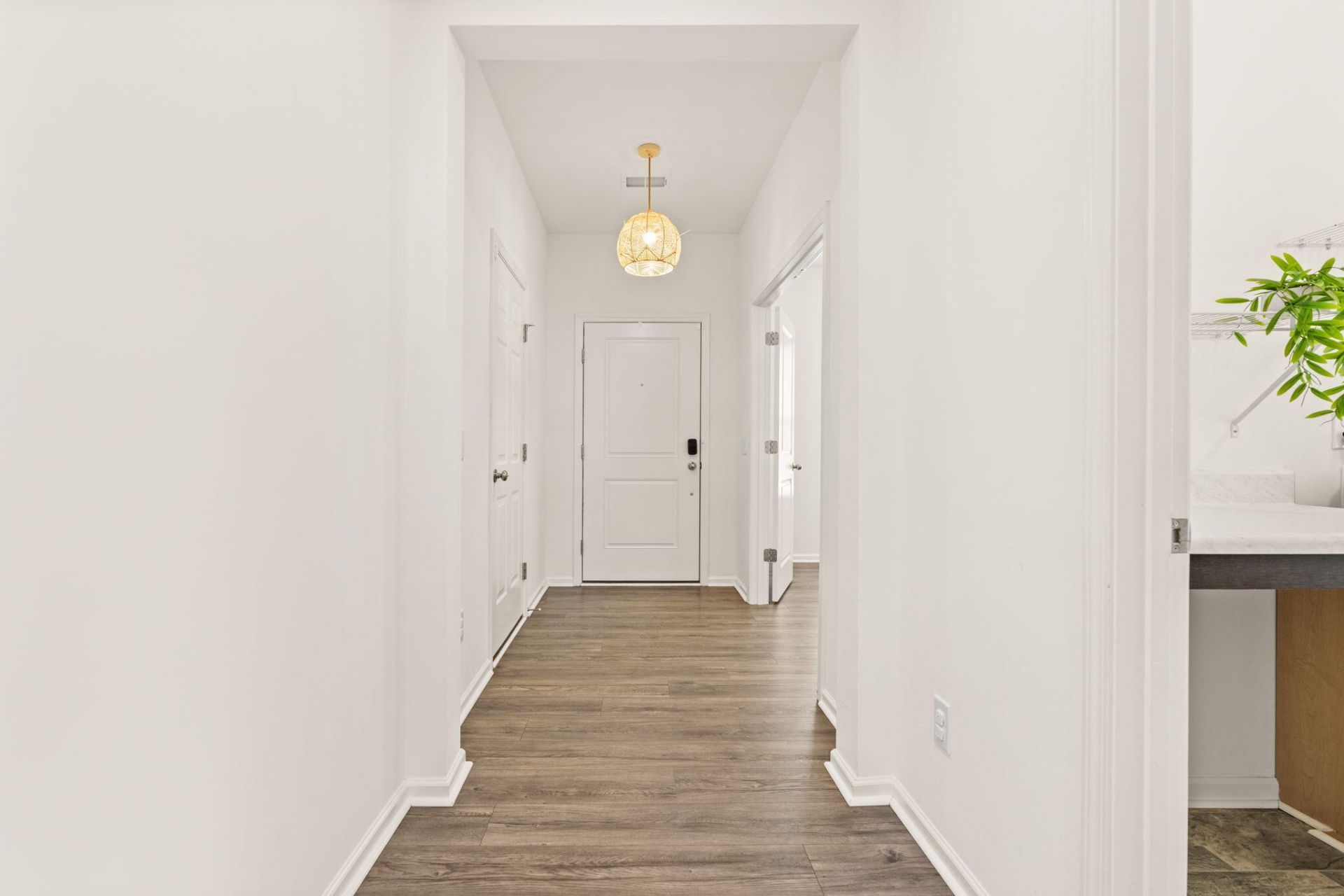 492 Fox Sparrow Court Photo 11