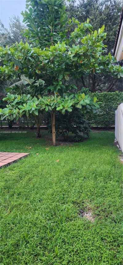 4221 SW 153rd Ave , Miramar, FL 33027 Photo