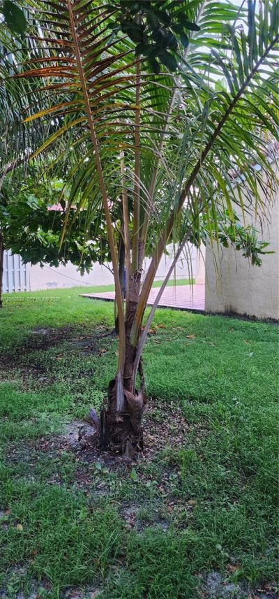 4221 SW 153rd Ave , Miramar, FL 33027 Photo