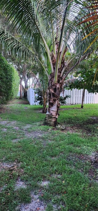 4221 SW 153rd Ave , Miramar, FL 33027 Photo