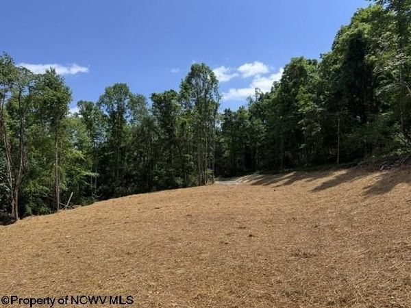 TBD River Road, Junior, WV 26275