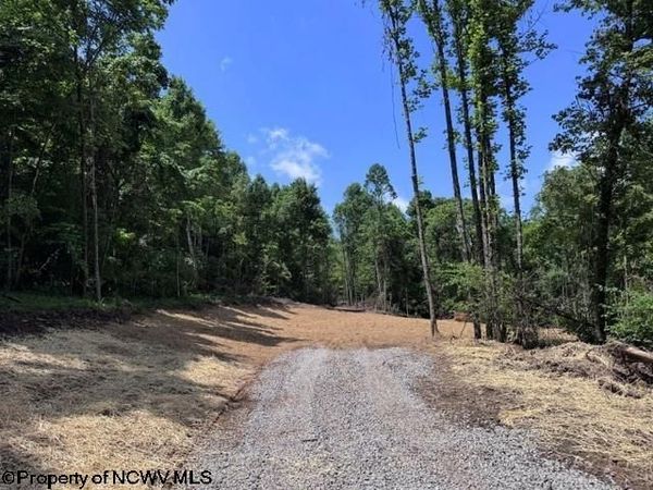 TBD River Road, Junior, WV 26275