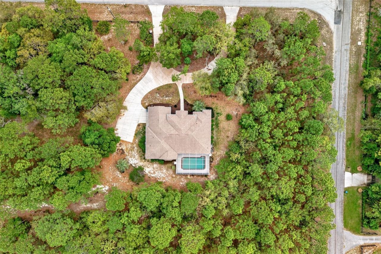 3210 N Reno Way, Beverly Hills, FL 34465 Photo