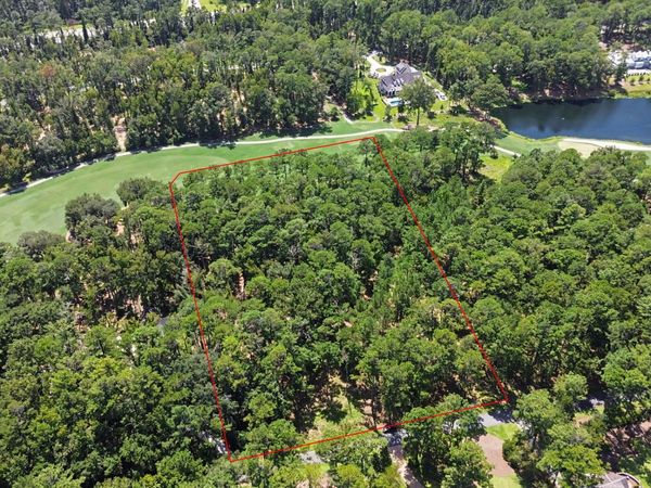 388 Belted Kingfisher Lane, Richmond Hill, GA 31324