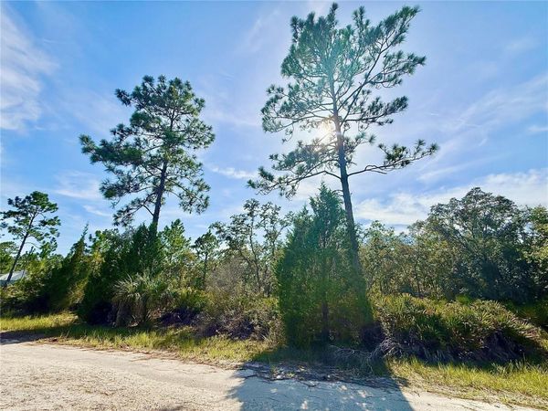 RYDAL ROAD, WEEKI WACHEE, FL 34614