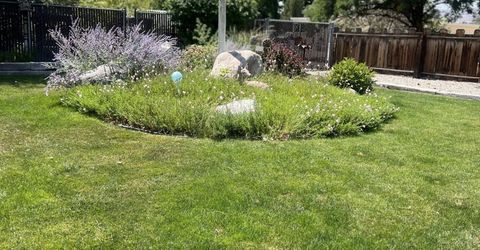 113 Orchard Street, Yerington, NV 89447 Photo