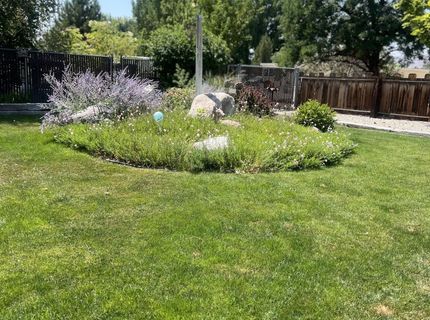 113 Orchard Street, Yerington, NV 89447 Photo