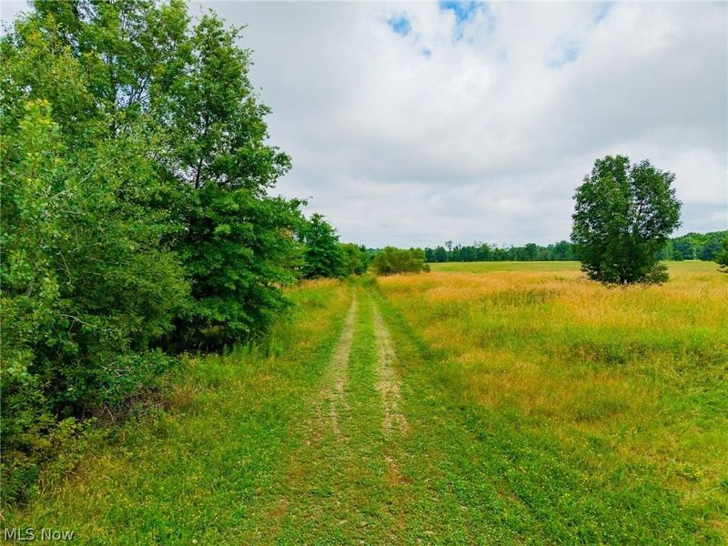 7785 Jewell Grenville Road, Kinsman, OH 44428 Photo 12