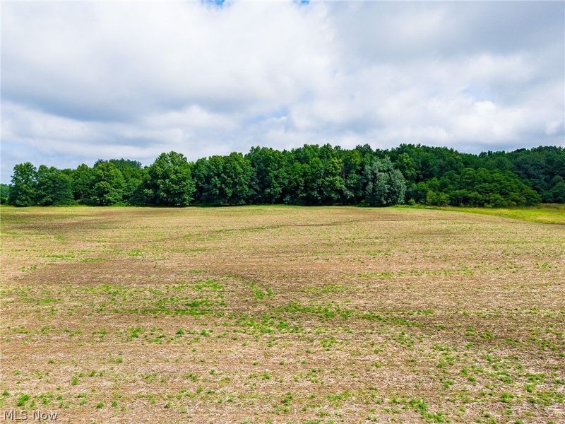 7785 Jewell Grenville Road, Kinsman, OH 44428 Photo 14