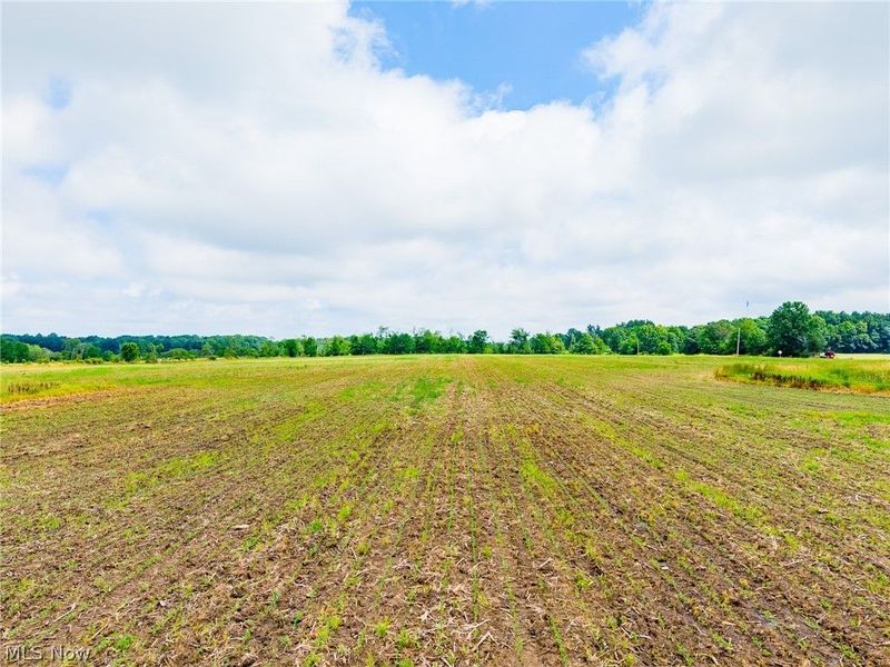 7785 Jewell Grenville Road, Kinsman, OH 44428 Photo 17