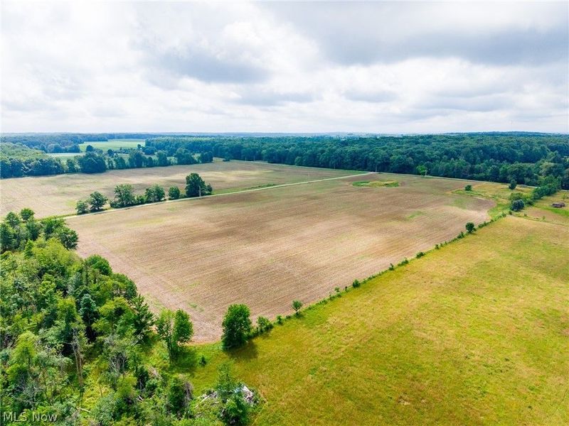 7785 Jewell Grenville Road, Kinsman, OH 44428 Photo 19