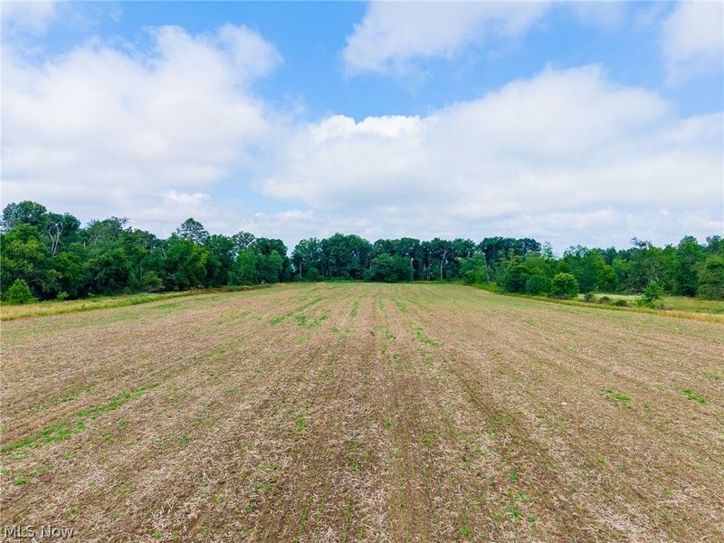 7785 Jewell Grenville Road, Kinsman, OH 44428 Photo 23