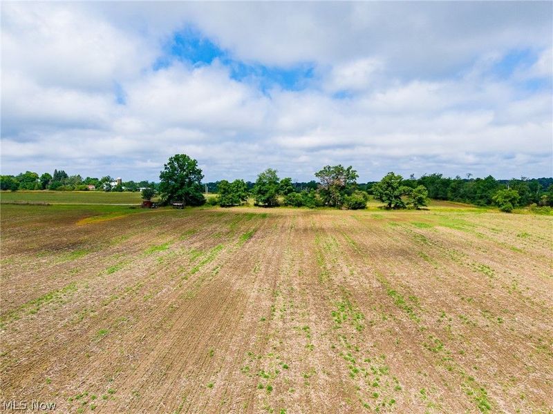 7785 Jewell Grenville Road, Kinsman, OH 44428 Photo 6