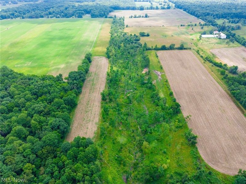 7785 Jewell Grenville Road, Kinsman, OH 44428 Photo 9
