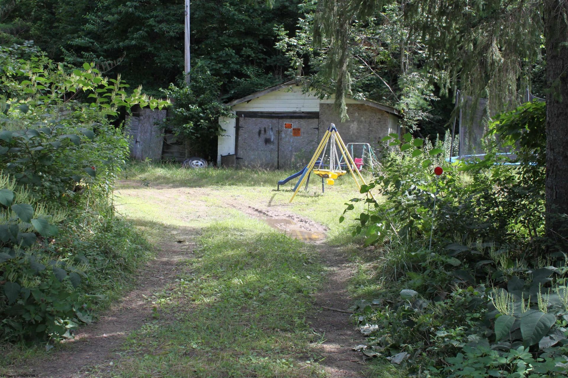8394 Webster Road, Camden on Gauley, WV 26208 Main Photo