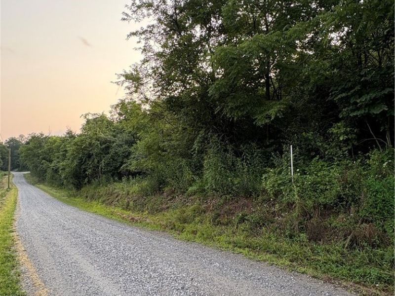 Britton Road , Senecaville, OH 43780 Photo 1
