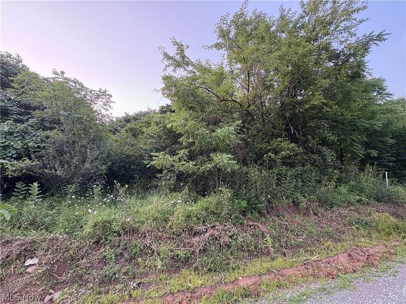 Britton Road , Senecaville, OH 43780 Photo 2