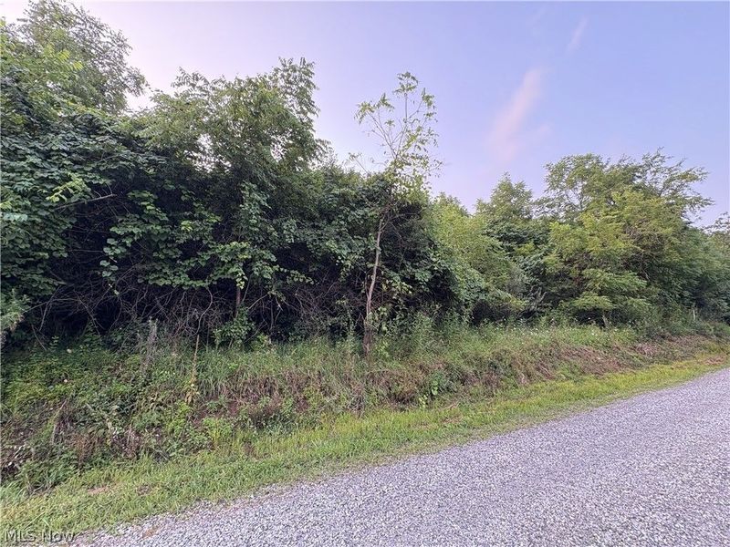 Britton Road , Senecaville, OH 43780 Photo 4