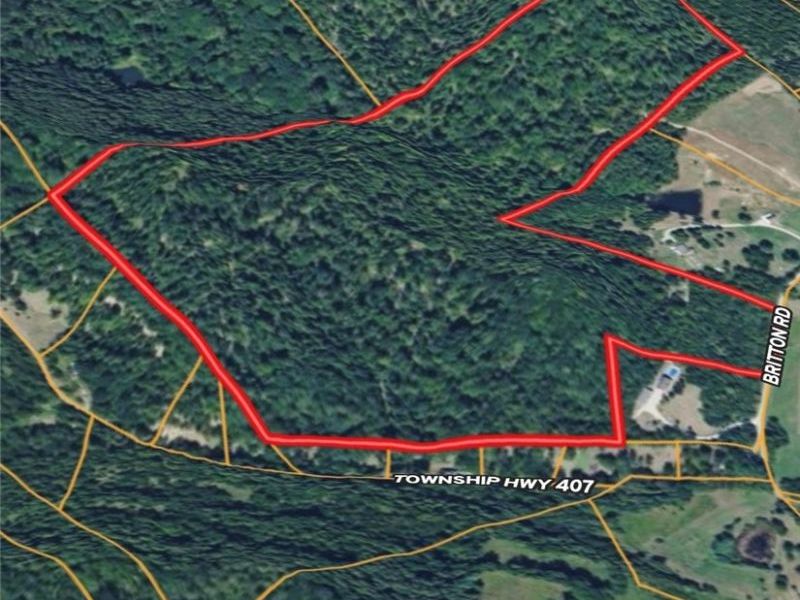Britton Road , Senecaville, OH 43780 Photo 6