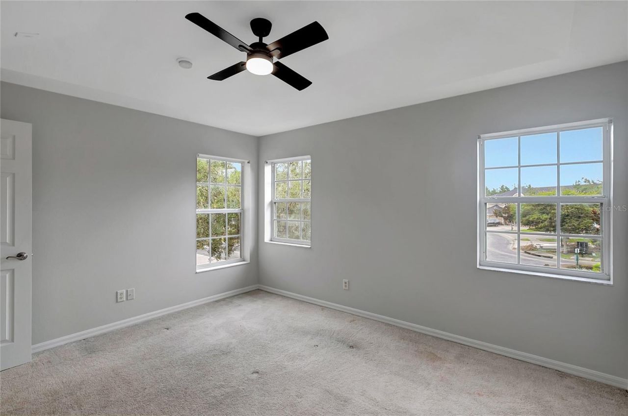 7413 Terrace River Drive, Temple Terrace, FL 33637 Photo