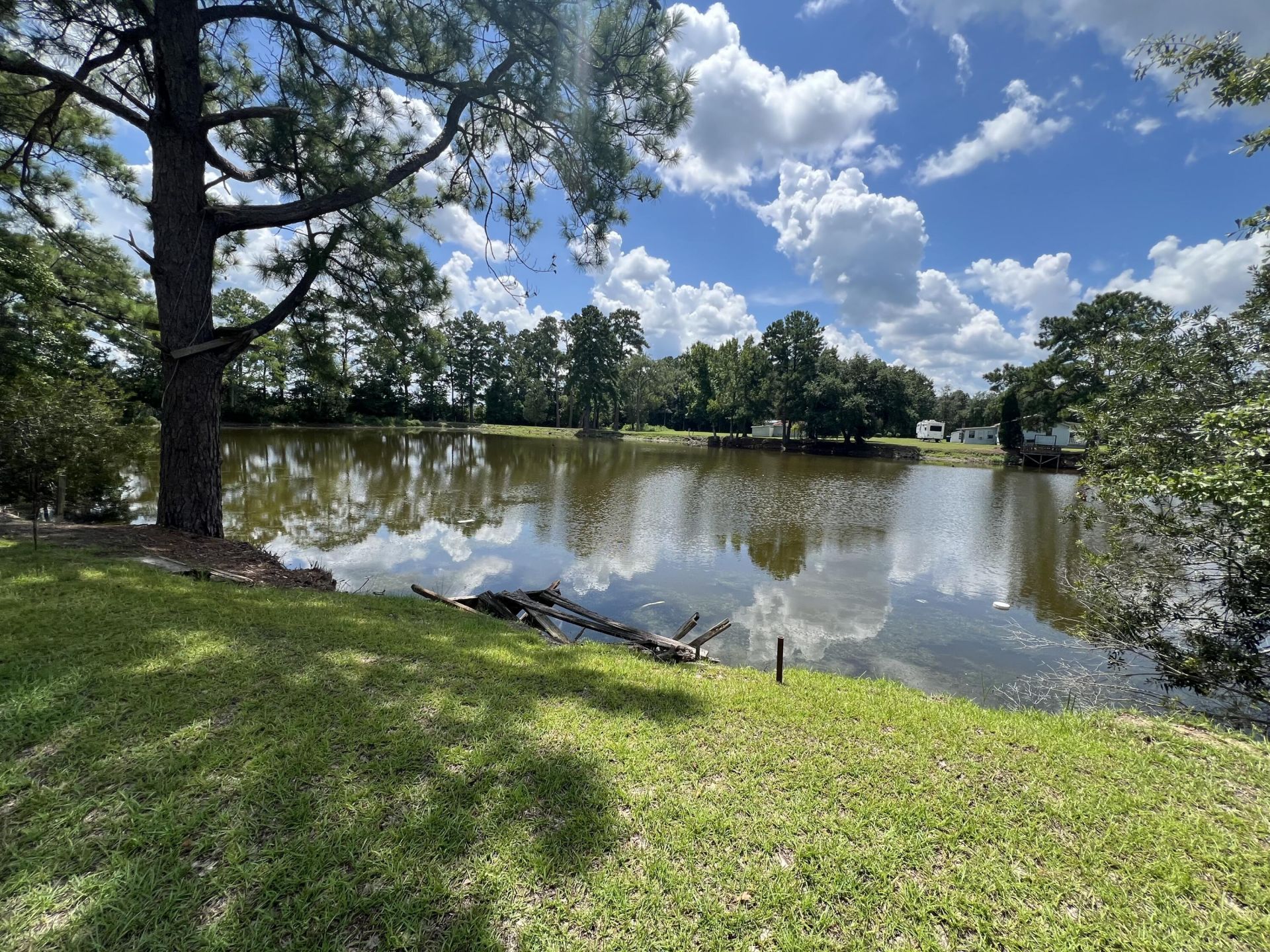 122 Thomas Lane Photo 4