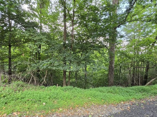 lot 71 Necowa Cove Overlook, Blue Ridge, GA 30513