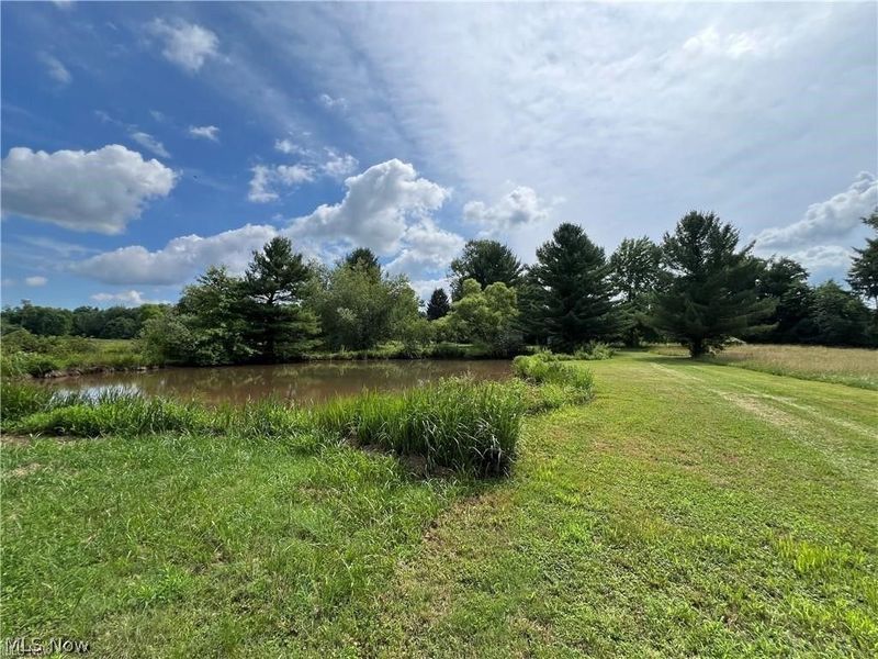 3527R Footville Richmond Road, Rock Creek, OH 44084 Photo 12