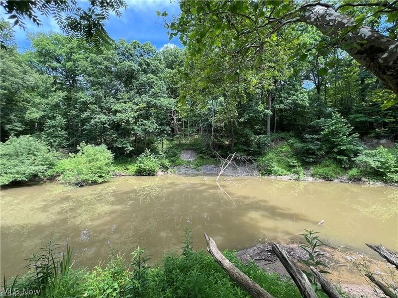 3527R Footville Richmond Road, Rock Creek, OH 44084 Photo 16