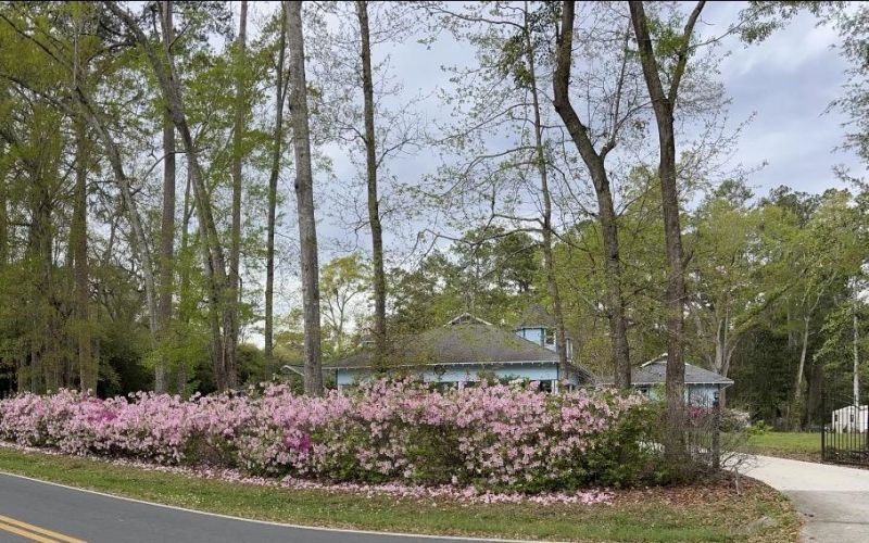 806 Piedmont Drive , Tallahassee, FL 32312 Photo