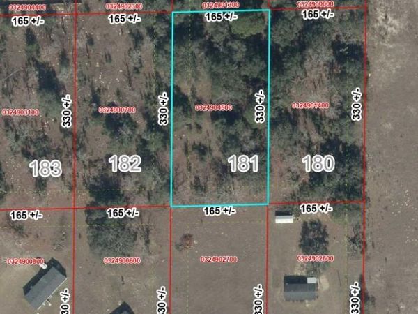 Lot 181 NE 101st St, Archer, FL 32618