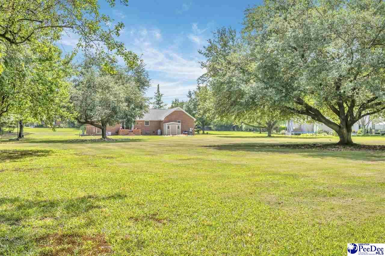 124 Peachtree Drive Photo 36